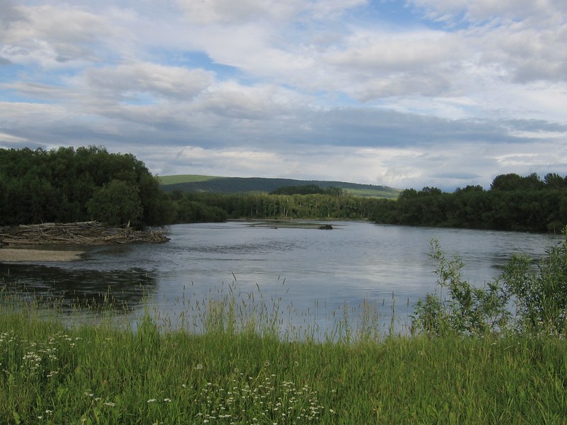Берег реки Камчатки