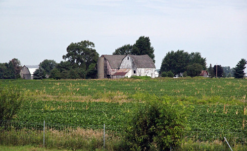 jonathanstutsman barns barn buildings structures historic gambrel roof dilapidated outbuildings farm agriculture fultoncounty ohio piketownship field soybeans trees silo woodshingle