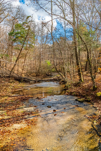 fairview fall hdr hiking landscape nature sonya6500 sonyimages tennessee usa unitedstates valleygreenestates outdoors exif:isospeed=400 camera:make=sony exif:lens=epz18105mmf4goss geo:lat=35975556666667 exif:make=sony geo:lon=87155203333333 geo:city=fairview geo:location=valleygreenestates geo:state=tennessee exif:aperture=ƒ95 geo:country=unitedstates exif:focallength=19mm camera:model=ilce6500 exif:model=ilce6500