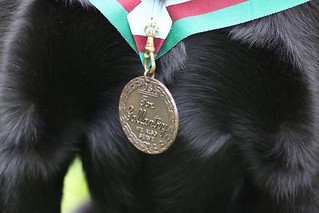 Dickin medal