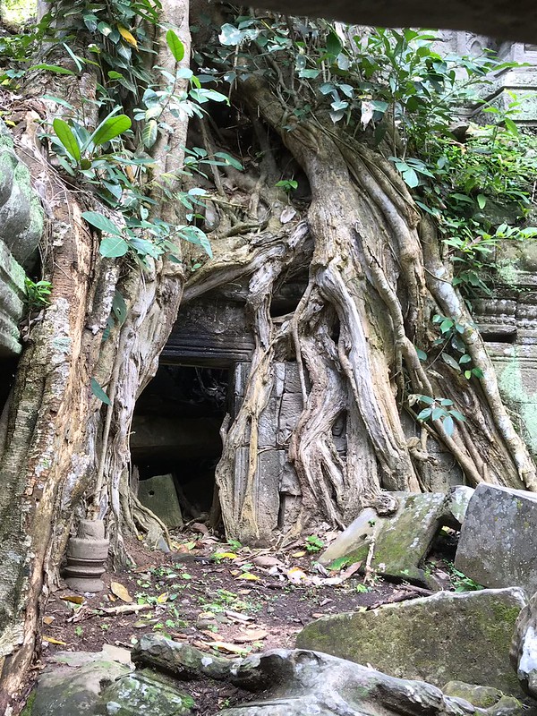 Angkor II: recorrido corto - Myanmar, Camboya y Laos: la ruta de los mil templos (37)
