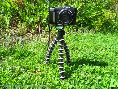 Camera on a GorillaPod Hybrid Tripod