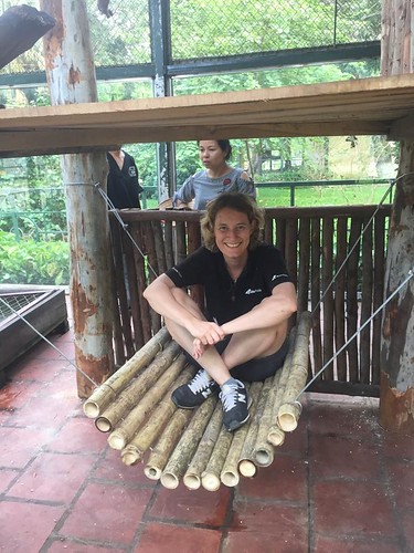 Bamboo hammock