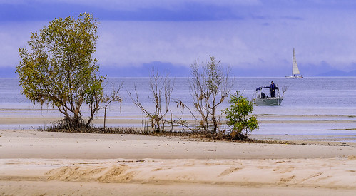 landscape blackandwhite bw nikond500 sigma150600mmf563dgoshsmsports sea ocean bribieisland clouds cloudy boat pumistonepassage mangrove sailingboat beach sand