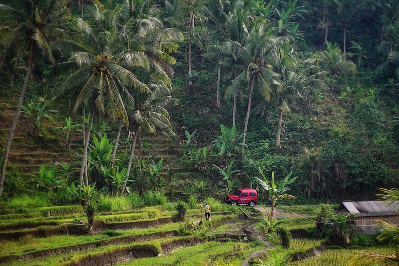 Our hire car parked in the rice paddies of Bali