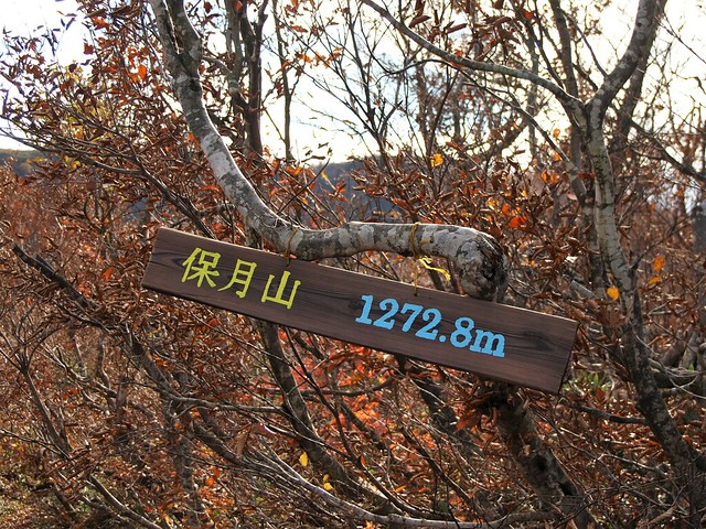 181103 経ヶ岳 (12)
