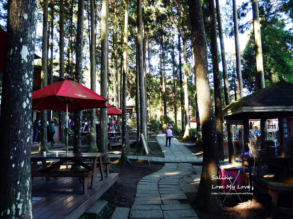 新竹一日遊必玩景點推薦山上人家景觀餐廳森林咖啡館 (27)
