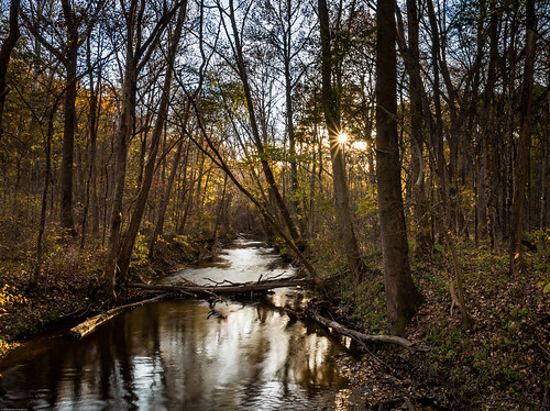fall autumn sunset creek bicentennialwoods acres water woodstrees indiana