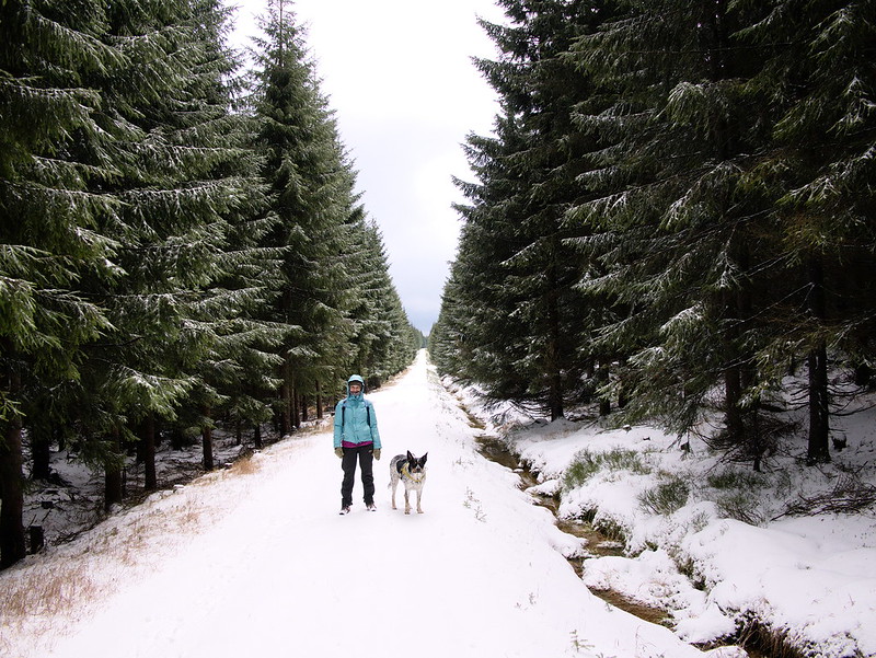 czeskie góry izerskie zimą