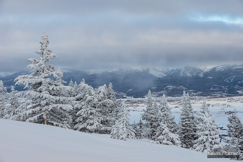 december winter snow snowy cold cloudy overcast bigholemountains victor idaho rockypeak tetonvalley tamron2470mmf28 nikond750 cariboutargheenationalforest tetons