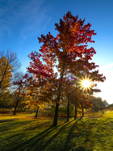 fall fallcolours scenery scenic sunrise ultrawideangle