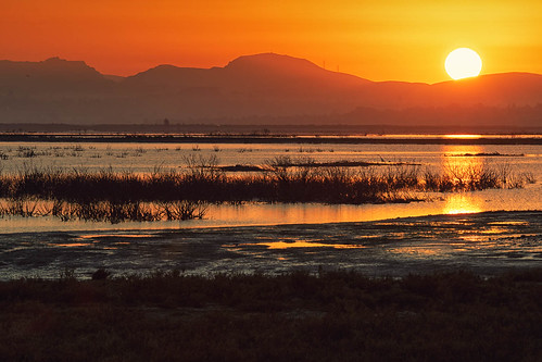 sanpablobaynationalwildliferefuge sunrise water reflections sun sigma150500 california sanfranciscobay landscape