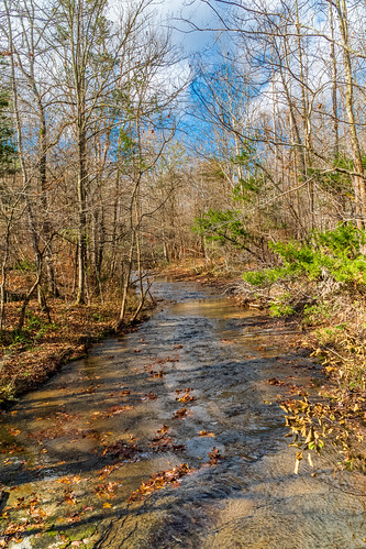 fairview fall hdr hiking landscape nature sonya6500 sonyimages tennessee usa unitedstates valleygreenestates outdoors exif:isospeed=400 camera:make=sony exif:lens=epz18105mmf4goss exif:make=sony geo:country=unitedstates geo:city=fairview geo:location=valleygreenestates geo:state=tennessee exif:focallength=19mm exif:aperture=ƒ95 geo:lon=87155265 geo:lat=35975623333333 camera:model=ilce6500 exif:model=ilce6500