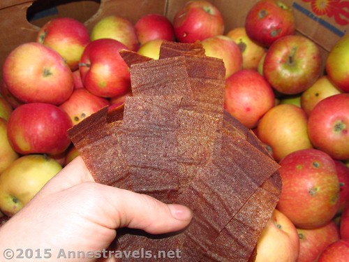 Finished strips of dried applesauce / apple fruit leather