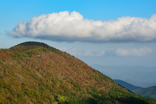養父市 兵庫県 japan 山 mountain 紅葉 autumnleaves