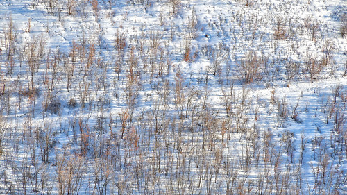 eechillington nature nikond7500 mountolympus viewnxi corelpaintshoppro patterns snow abstract hiking utah