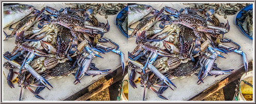 fishmarketnegombo srilanka 3d stereoscopy stereophotography