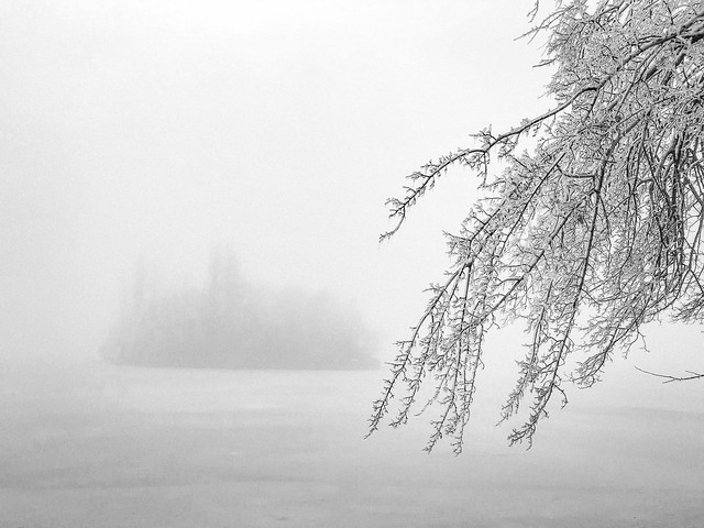 Cold foggy winter morning an island in the frozen lake