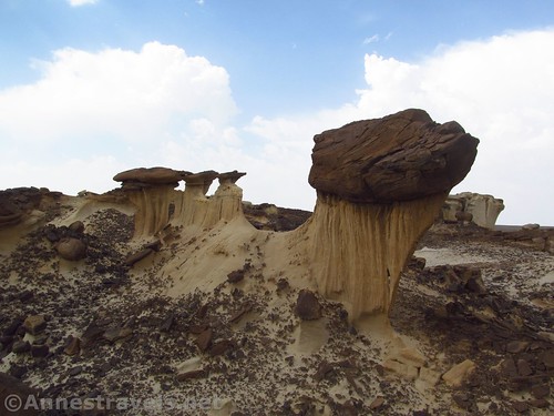 Cool formations, though the sun hadn't caught up with us yet, Valley of Dreams, Ah-Shi-Sle-Pah Wilderness, New Mexico
