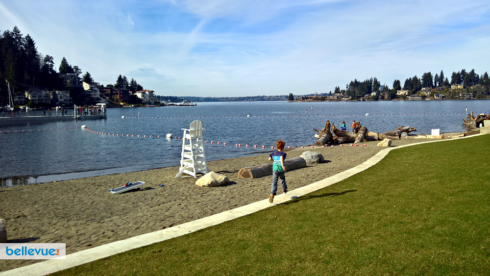Meydenbauer Bay Park | Bellevue.com