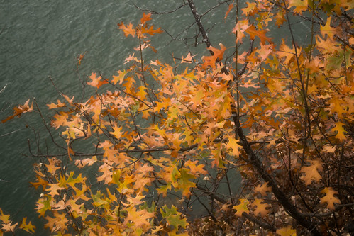 osagecounty oklahoma skiatooklake fall autumn color leaves foliage