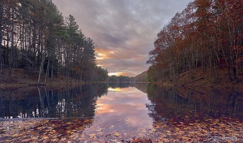 cranberrypond sunrise westernmass autumninnewengland autumn fall foliage reflection reflectionphotography pond pioneervalley massachusetts newengland sonyvariotessartfe1635mmf4za