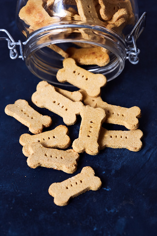 Grain-free Salmon Pumpkin Dog Treat Recipe