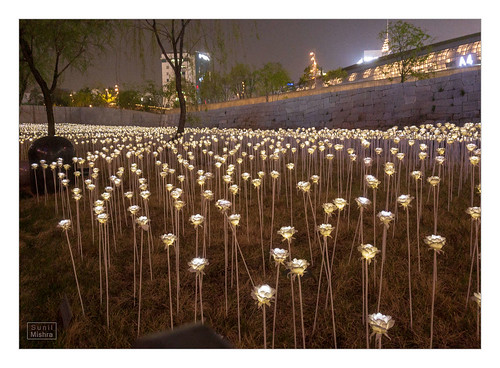 art dongdaemunhistoryandculturepark flowers landscape lights night seoul sky southkorea trees