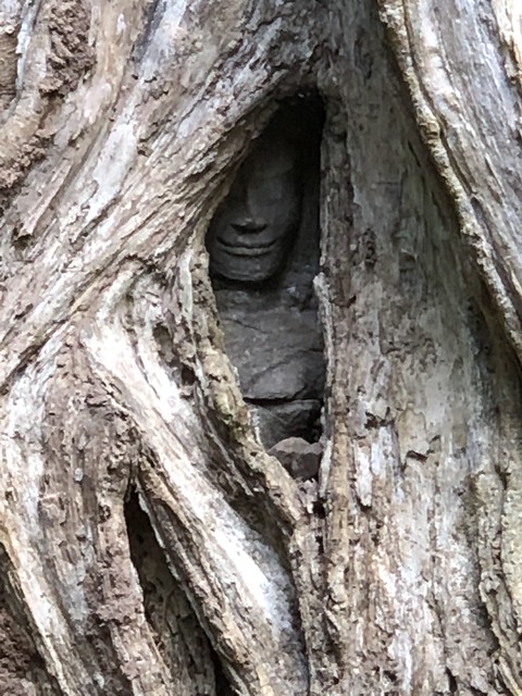 Angkor II: recorrido corto - Myanmar, Camboya y Laos: la ruta de los mil templos (36)