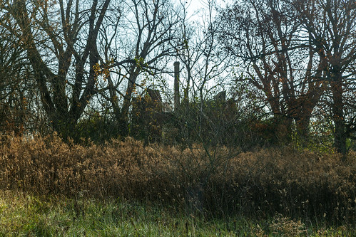 jameswilliams house dwelling residence historic abandoned ruined roofless overgrown shell vacant highlandcounty ohio libertytownship hillsboro chimney brick trees