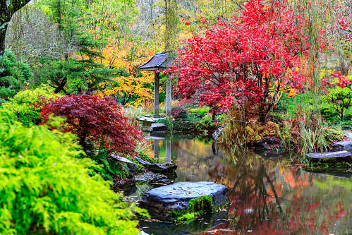 garden japanesegarden fall colors water landscape gibbsgarden northgeorgia