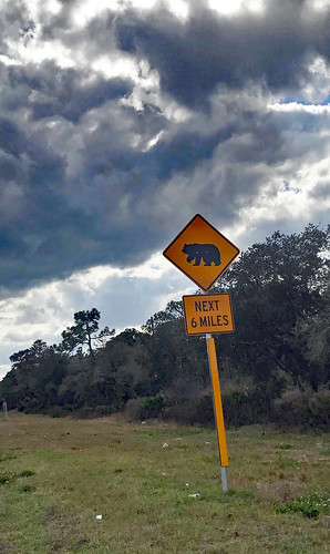 bear sign road sky trees