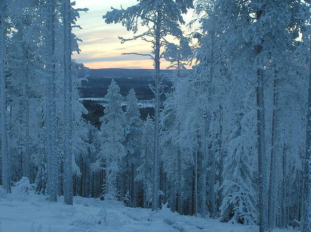 Winter Wonder Land, Levi Finland