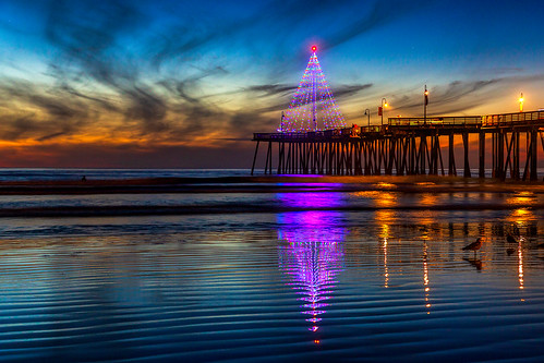 christmastree pismobeach sunsetreflections christmas christmaslights reflections pacificocean ocean lowtide sunset clouds christmas2018 merrychristmas pier pismopier pismobeachpier beach seascape getty gettyimages mimiditchie mimiditchiephotography