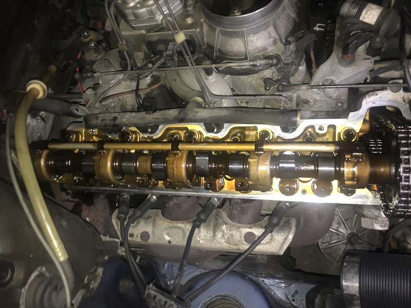 M117 Timing chain