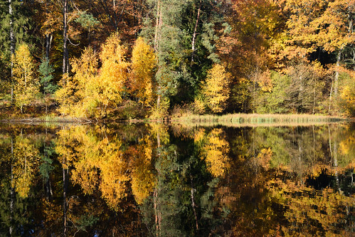 nikon d3300 sigma contemporary 18200dcoshsmc paysage landscape reflexion reflet arbres automne autumn trees forest forets