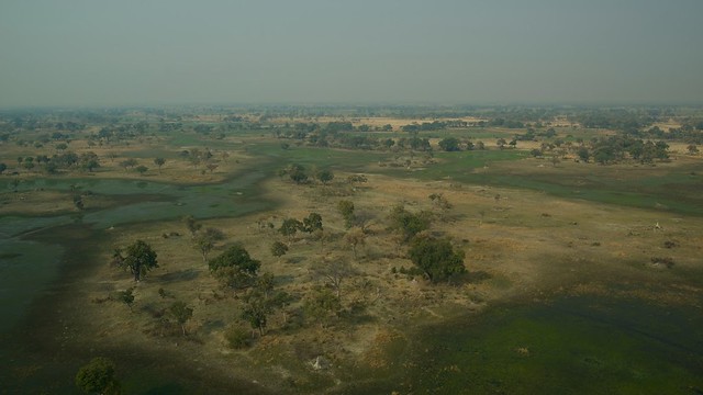 Vuelo sobre el Delta del Okavango. Llegamos a Moremi. - POR ZIMBABWE Y BOTSWANA, DE NOVATOS EN EL AFRICA AUSTRAL (7)