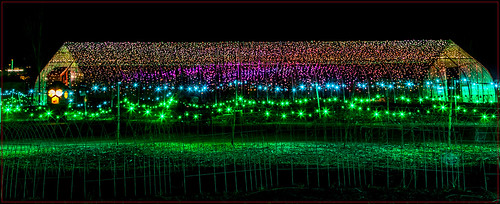 boothbay coastalmainebotanicalgarden lights maine night gardensaglow auroraborealis