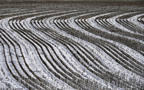 landscape field pattern winter snow wavy