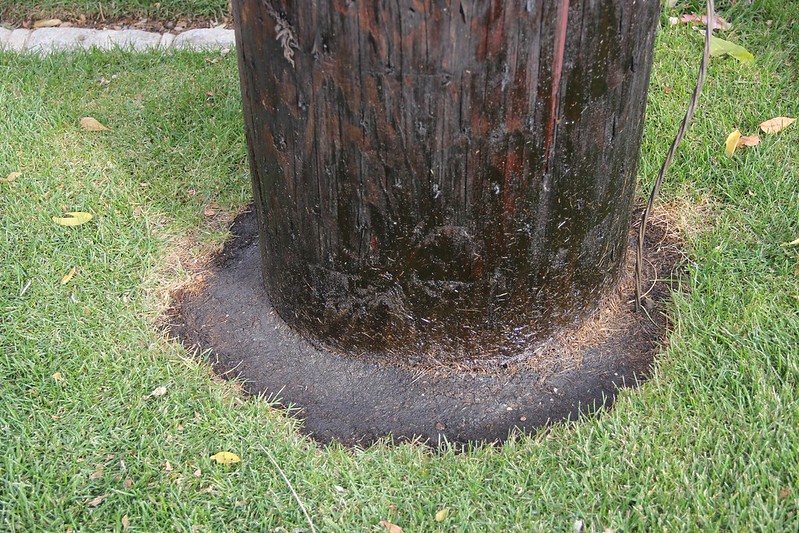 photo of Utility Pole