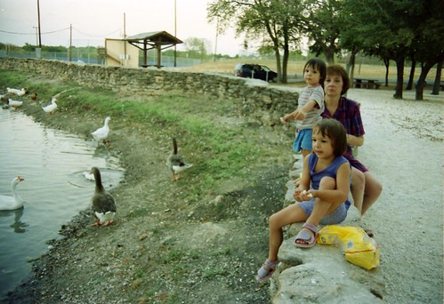 texas lonestarstate copperascove ducks copperascoveducks feedingducks birds