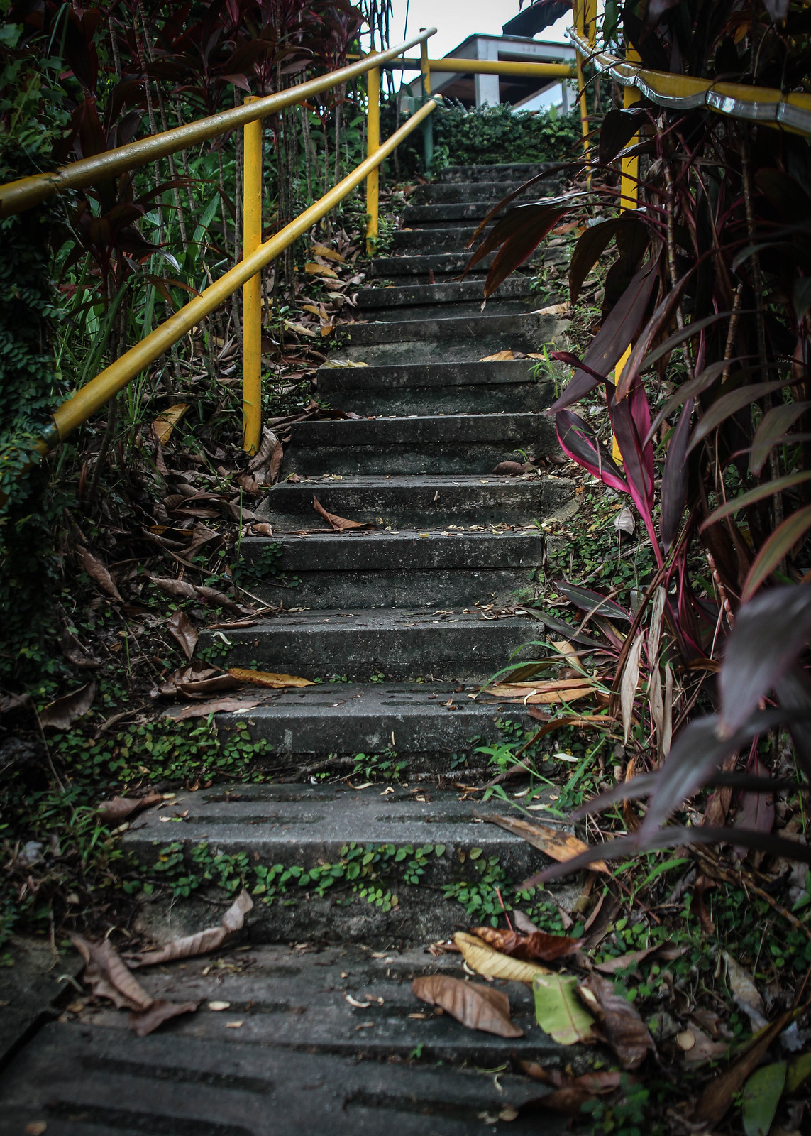 Green_On_Earth_Stairs