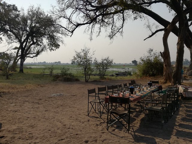 POR ZIMBABWE Y BOTSWANA, DE NOVATOS EN EL AFRICA AUSTRAL - Blogs de Africa Sur - Traslado a Maun. Nos adentramos en el Delta del Okavango (41)