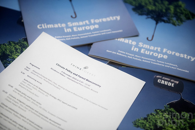 European Forest Institute: Climate Policy and Forest Bioeconomy 2018