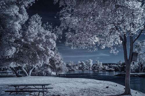 infrared infraredphotography convertedinfraredcamera ir santeelakes composition sky clouds vegetation channelswapping