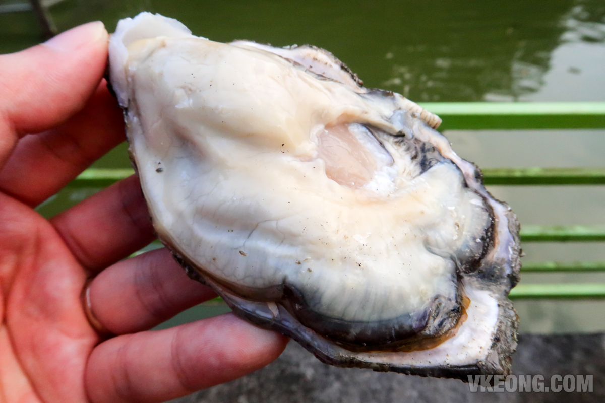 Veg-Fish-Farm-Thai-Restaurant-American-Oysters