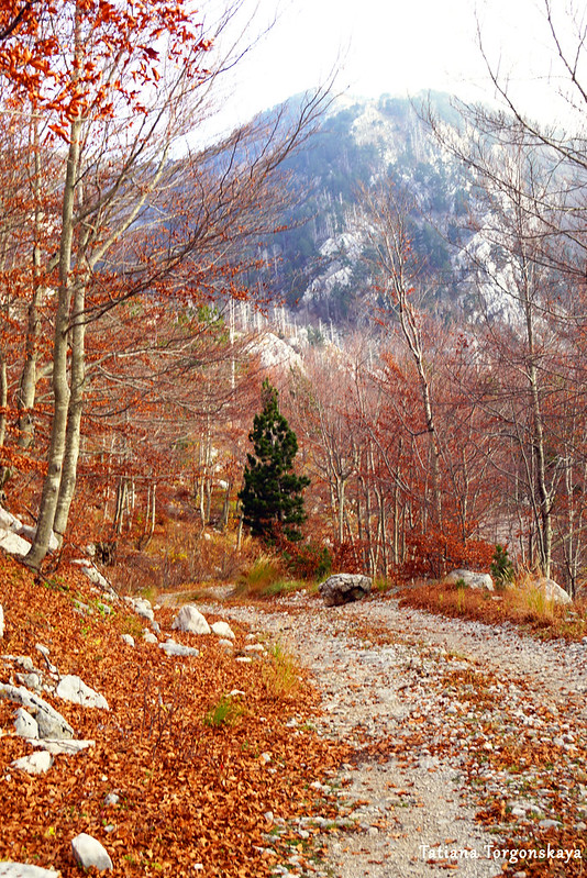 Осенний пейзаж в горах