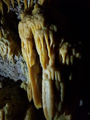 Grotte de Clamouse_155536