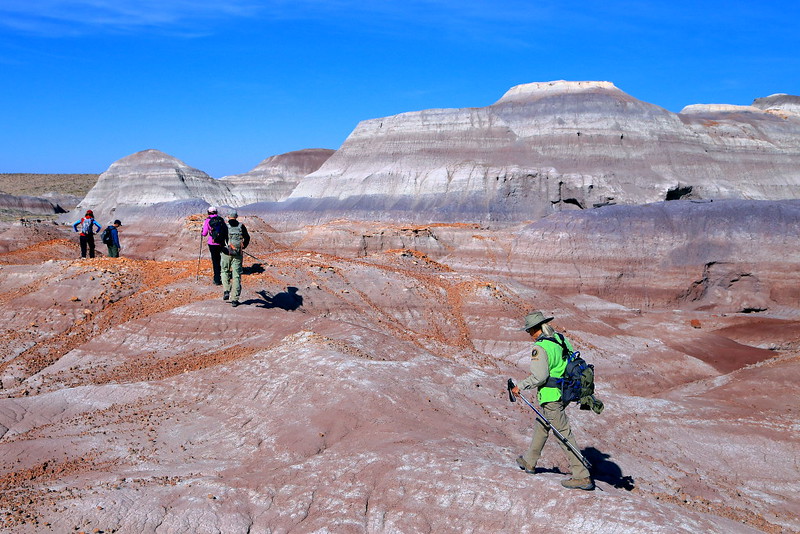 IMG_0328 Hikers in Red Basin, Petrified Forest National Park
