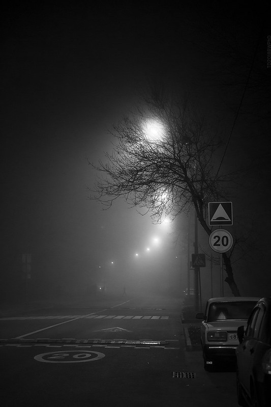 2018.11.06_310/365 - Fog